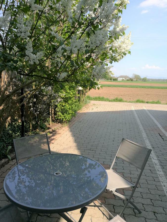 Sainte-Croix-en-Plaine Le Cocon Appart Avec Parking Prive & Terrasse מראה חיצוני תמונה